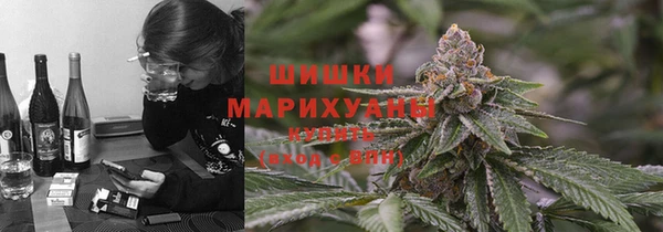 Альфа ПВП Богородицк
