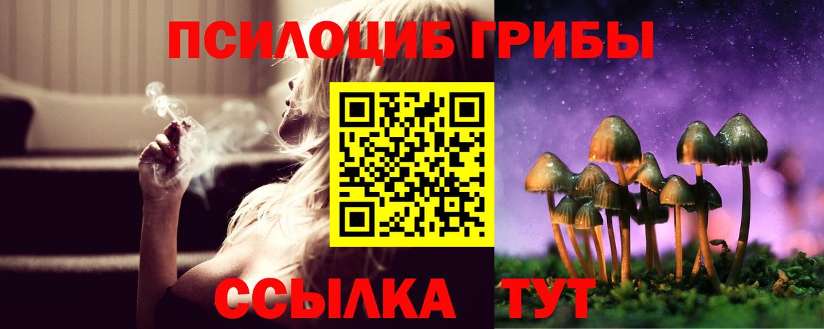 Галлюциногенные грибы ЛСД Дальнегорск