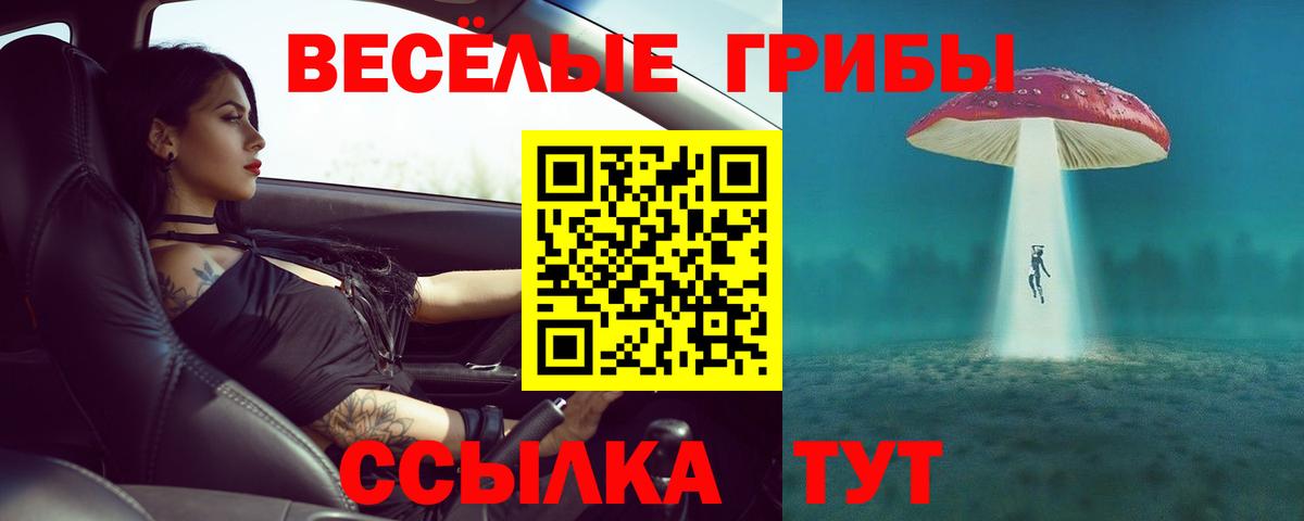 Галлюциногенные грибы Cubensis  Вход с VPN  Дальнегорск  Галлюциногенные грибы Cubensis 